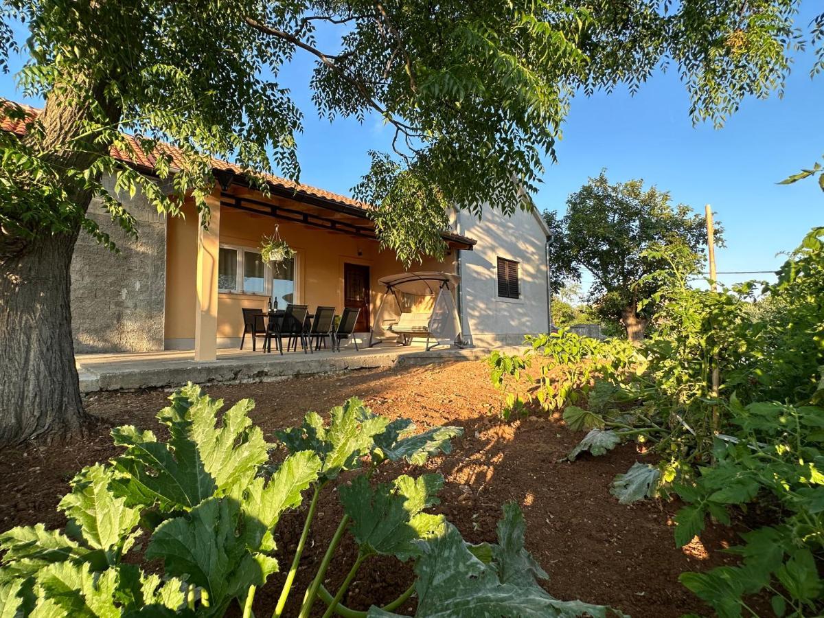 Relax And Unwind: Family-Friendly House Near Zadar In Zagrad别墅 外观 照片