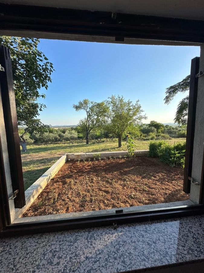 Relax And Unwind: Family-Friendly House Near Zadar In Zagrad别墅 外观 照片