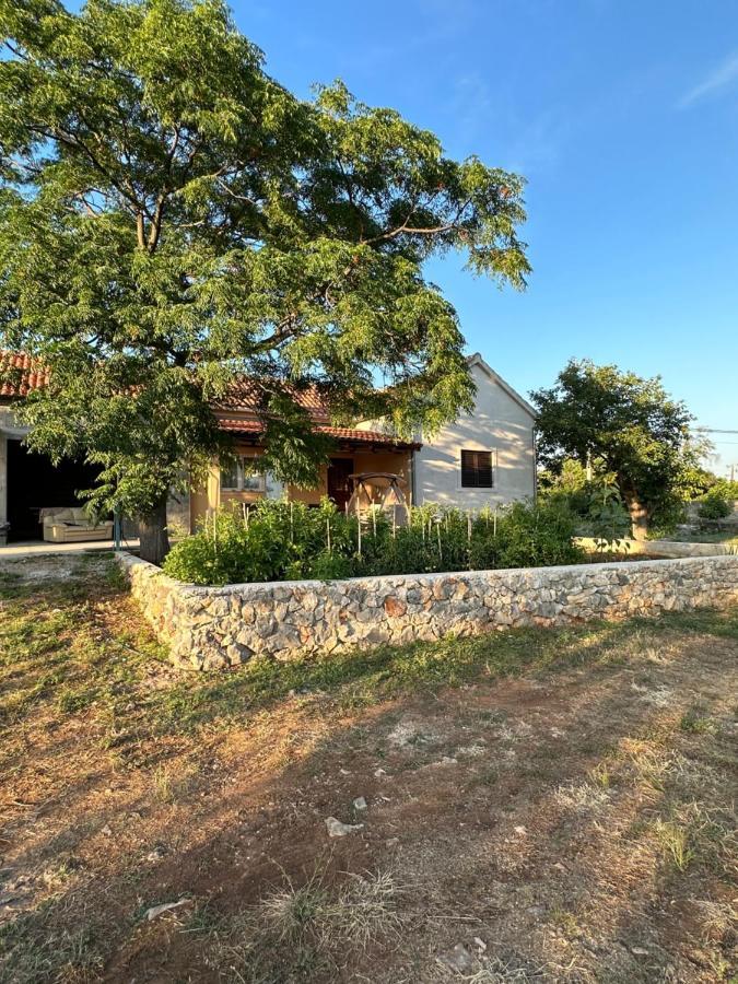 Relax And Unwind: Family-Friendly House Near Zadar In Zagrad别墅 外观 照片